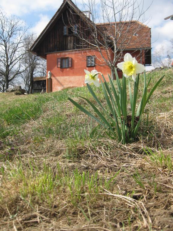 Ferienwohnungen Sonnenberg Ratsch an der Weinstraße Exteriér fotografie